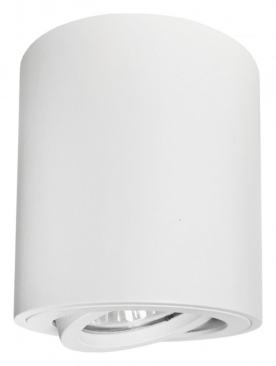 Накладной светильник Lightstar Binoco 52006