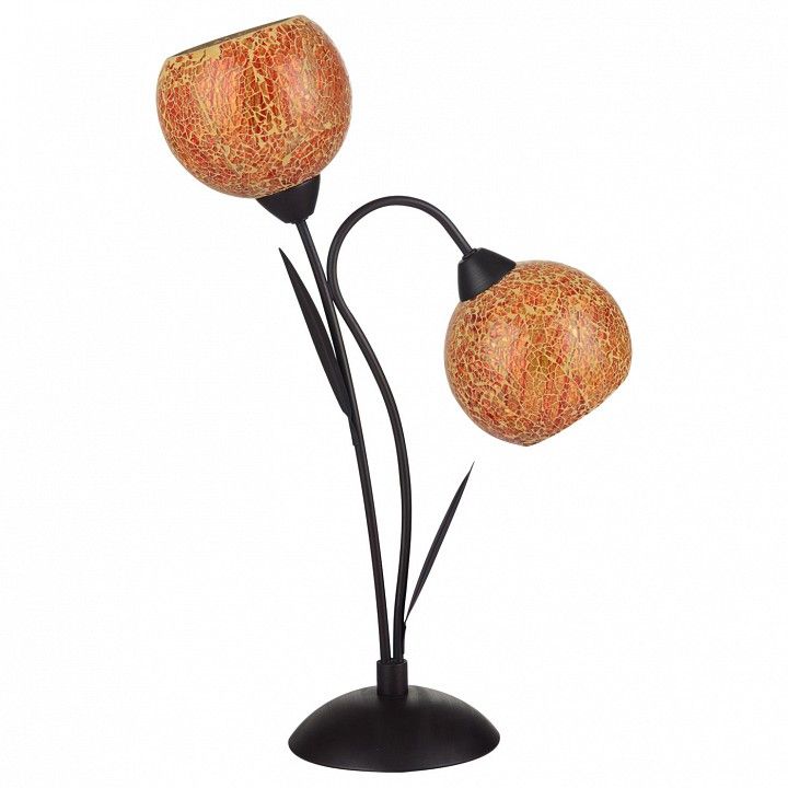 Настольная лампа декоративная Lussole Bagheria GRLSF-6204-02
