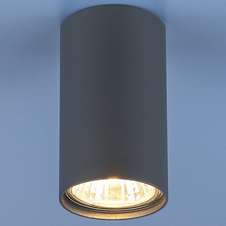 Накладной светильник Elektrostandard 1081 a038615