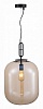 Подвесной светильник ST-Luce Burasca SL1050.413.01