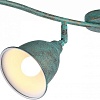Спот Arte Lamp Campana A9557PL-4BG