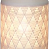 Настольная лампа декоративная Escada 10177 10177/L