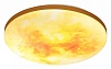 Накладной светильник Sonex Sun 7726/DL