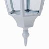 Подвесной светильник Horoz Electric Leylak HRZ00001014