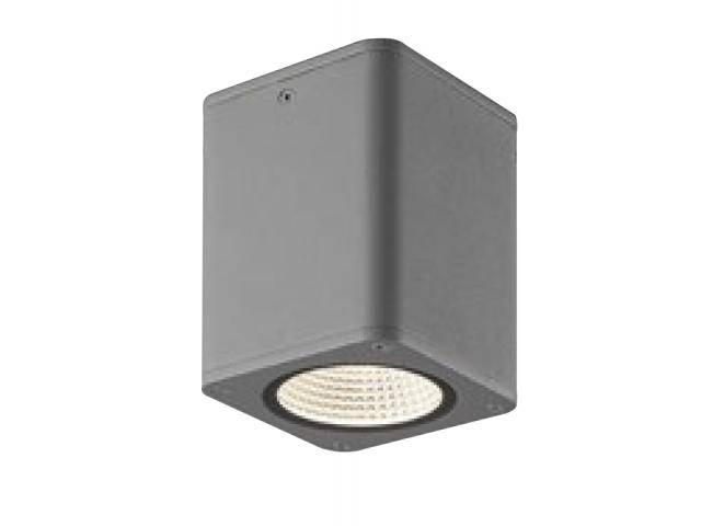 Уличный потолочный светильник NLCO DSW12-19-W-01(S)