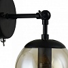 Бра Arte Lamp 1664 A1664AP-1BK