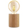 Настольная лампа декоративная Eglo Turialdo 99079