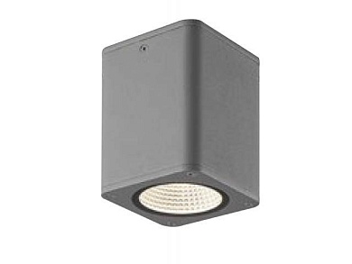 Уличный потолочный светильник NLCO DSW12-19-C-01(S)